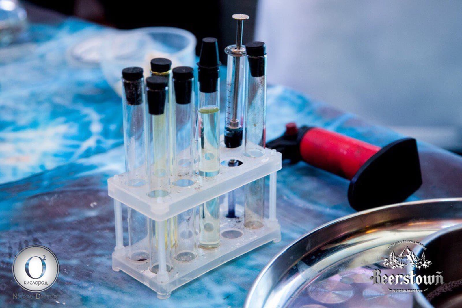 Family science night (sample)