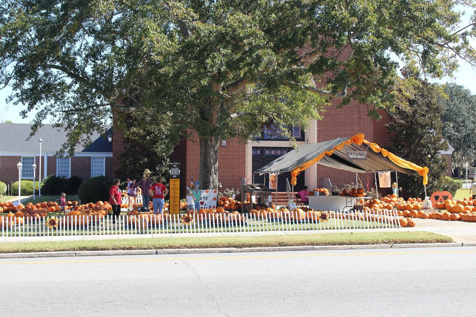 Pumpkin patch (sample)